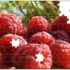 puzzle-personalizat-fructe