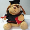 absolvent-jucarii-personalizate-cadouri